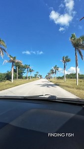 Heading to Havana Hopefully | Mike Fisher