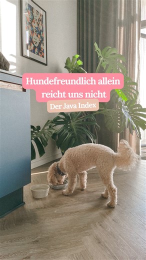Java Minidoodle & Hundetrainerin Alina on Instagram: "Besondere Unterkünfte kuratiert 🐶 Genau dafür gibt es seit einem Jahr den Java-Index. Kuratiert. Getestet. Ehrlich bewertet. Damit du deine Zeit nicht mit Kompromissen verbringst. 💬 Kommentiere „Java-Index“ und wir schicken dir alle bereits getesteten Unterkünfte direkt in deine Inbox. Und wenn du keine besonderen Orte verpassen möchtest, folge uns ✌️ Denn richtig gute Unterkünfte findet man nicht zufällig 😬"