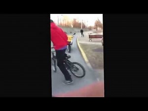 World star : girl fights