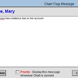 Flagging Patient Charts