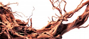 Red Moor Wood Decoration