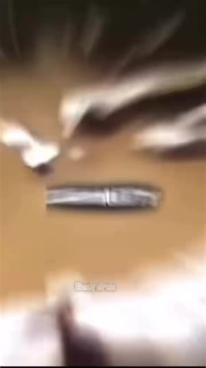 Exploring the Impact of Eminem on Fans and Culture