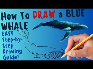 How To Draw A Blue Whale - EASY Step by Step Drawing and Coloring Guide