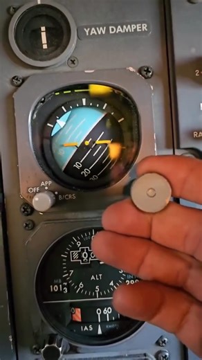 313K views · 1.5K reactions | #flighttraining | The Pilot | Facebook