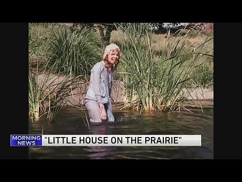 Nellie Oleson from "Little House on the Prairie"