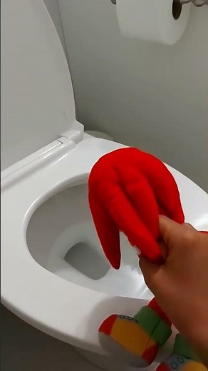 shadow sees knuckles pooping