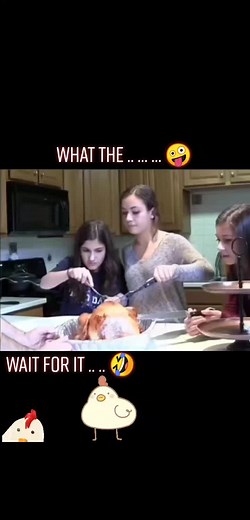 Pregnant Chicken Surprise | Funny Short Video Compilation