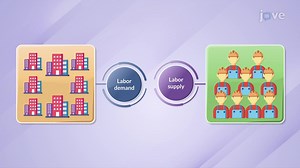 Video: Equilibrium in the Labor Market