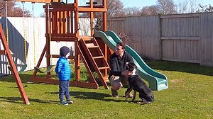 ###### From Part 1 of The Deer Dog Training Blueprint. Remember we have our 30% OFF ROAR SPECIAL running right now. There really is a limited number of these and they are going fast. Use the PROMO CODE BGID when making any Blueprint purchase to get 30% off. We may never do this again. This is the cheapest the blueprint has been for almost a year. Once you buy the blueprint, you own it forever and you can watch it as many times as you like, so get in and buy it, and tuck it away. You will have it