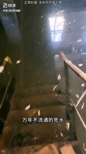探索危險水域的泳池：哪些不能下水？
