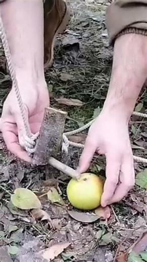 This primitive trap saved my life in the wild Spring snare trap 101 🪤 | Survival food sourc #Shorts