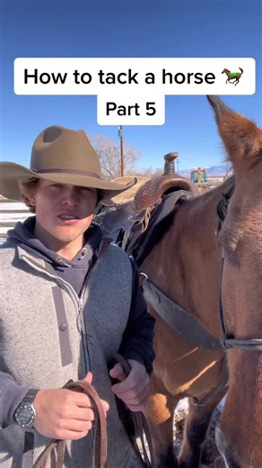 How to Bridle a Horse: Step-by-Step Guide