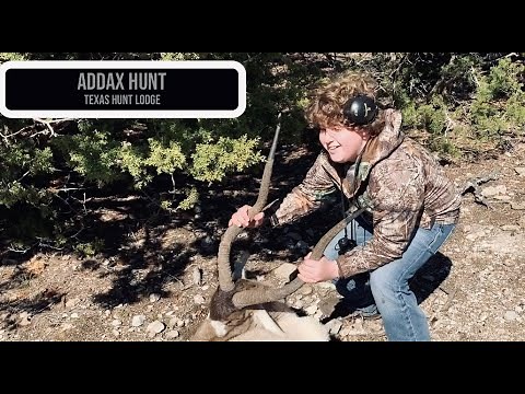 Addax Hunt at Texas Hunt Lodge