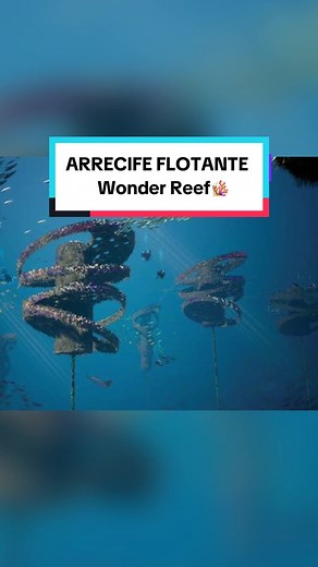 Descubriendo el Arrecife Flotante en Gold Coast, Australia