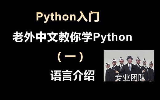 【Python入门】老外中文教你学Python——语言介绍