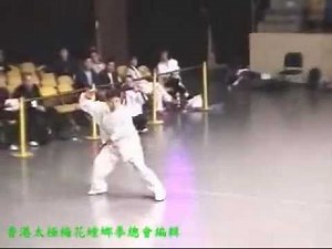International Kung Fu Master Performance & Championship 2004