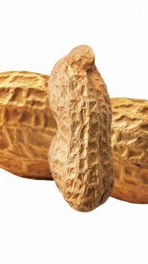 🎉sub to join the peanut gang🎉