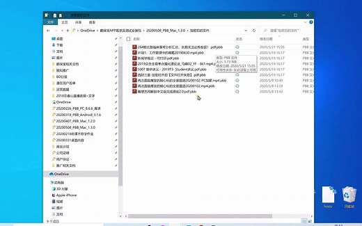 windows系统阅读pbb文件的方法