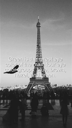 Did You Know? Green is the rarest eye color of the main four eye color... #Shorts