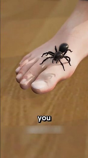 What Truly Happens When a Spider Bites You!