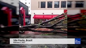 A storm that blew through São Paulo, Brazil sent some large trees crashing down in city streets, crushing some cars and injuring dozens of people. | The Weather Channel