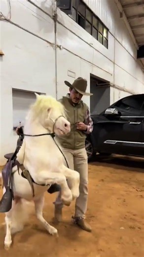 The mother of the chicks