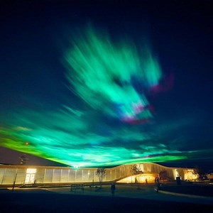 3.7K views · 78 reactions | This year GLOW goes wild. Get ready for epic installations, interactive projection, performance, live music and children’s art spaces across three mid-winter nights this August. Check out  GLOW: Creatures and Colours of the Night | City of Gold Coast | Facebook