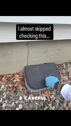 Rodent Bait Station Explained: How We Monitor Perimeter Activity