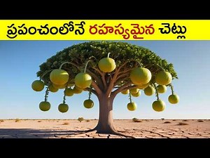 “Unbelievable Trees Found on Earth – Nature’s Real Mysteries!”