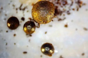 La découverte de minuscules sphères métalliques et de débris provenant d'un « objet interstellaire »