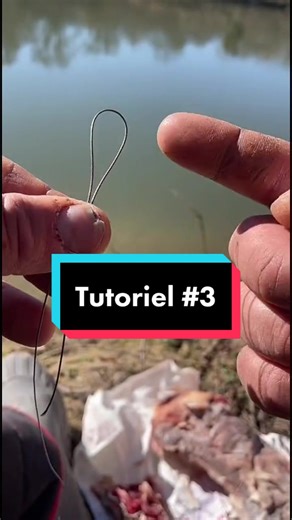 Noeud émerillon - Tutoriel de pêche