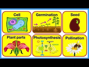 PLANTS 🪴| Plant Parts, Plant Cell, Pollination, Photosynthesis & Germination | Chapter 3