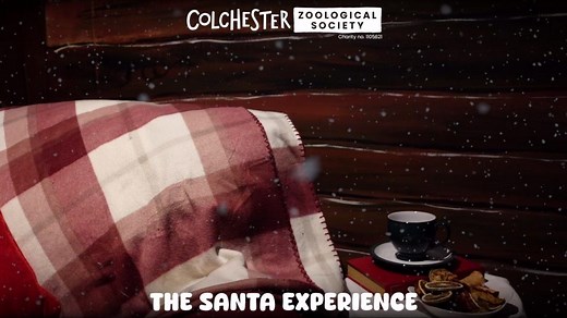 23K views · 52 reactions | BIG news from the North Pole! Santa’s...