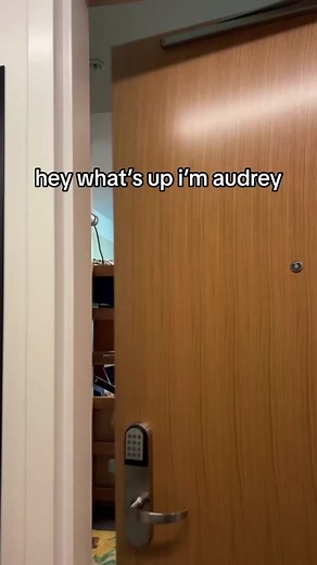 ✨ Dorm vibes ✨ #ucla #dormtour #college #dormlife #fyp