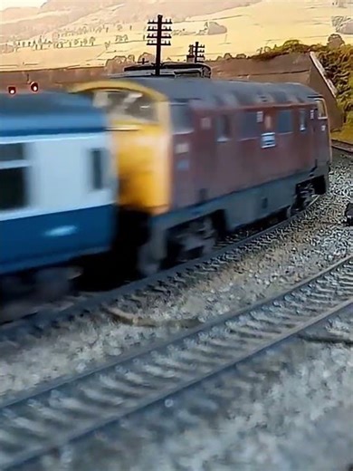 Class 42 'Warship' circa 1969