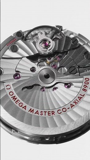 The Seamaster Aqua Terra | OMEGA
