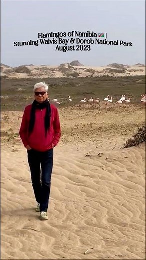 Flamingos of Namibia 🇳🇦 | Stunning Walvis Bay & Dorob National Park