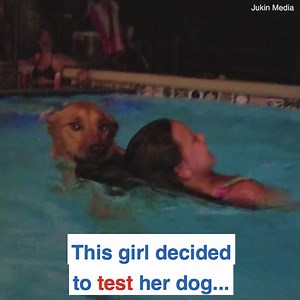 This compilation shows just how caring and loyal dogs are! 🐕 ❤️ | Daily Mail Animals