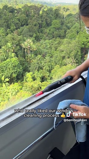 How to Clean Windows at Home: Expert Tips and Tools