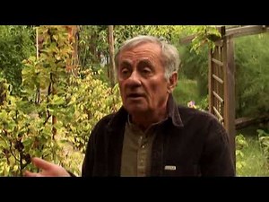 OGM, le grand mensonge agricole