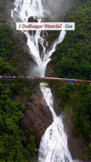 5 Waterfalls in India You Should Visit This Monsoon! 🌧️ #travel #shorts