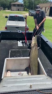 A little present from Captain Alan……Call us for your trip today! 504-382-0767 #gatorgar #redfish #sheephead #blackdrum #shark #carp #airboat #bowfish #bowfishing #louisiana #southernstylebowfishing #muzzybowfishing #gargod #oneidaeaglebows #bowfishingextreme #outriggeroutdoors | Southern Style Bowfishing