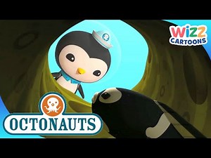 ‪@Octonauts‬ - Undercover Rescue | Compilation | Wizz Cartoons