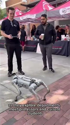 This is what Wildcat Preview at Chico State actually looks like