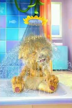poiuytrewq lkjhgfdsa mnbvcxz talking ginnger