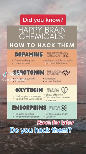 Understanding Happy Chemicals: Dopamine, Serotonin, Oxytocin, and Endorphins