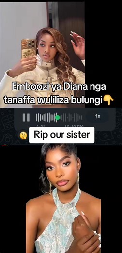 Abaana Abobuwala: Exploring Cultural Insights