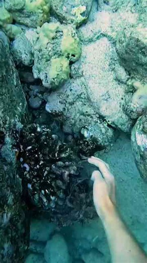 I Solved Global Warming, You’re Welcome