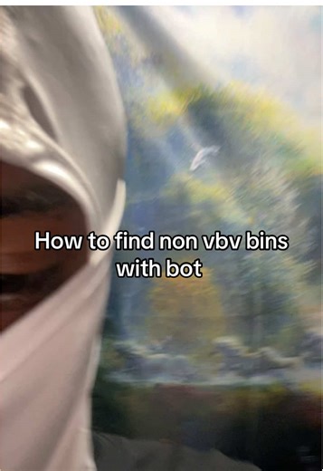 Cómo encontrar bins no vbv con bot