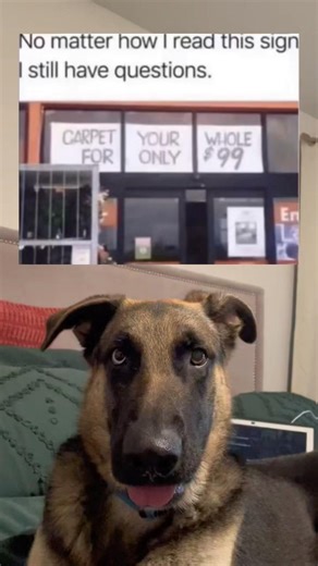 No matter how I read this sign I still have questions.